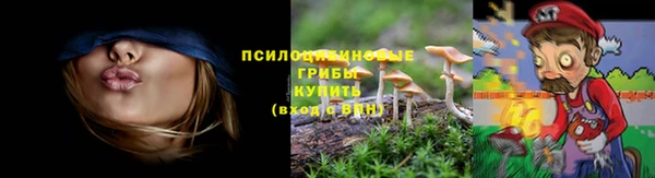Альфа ПВП Армянск
